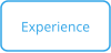 Experience