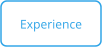 Experience