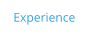 Experience