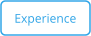 Experience